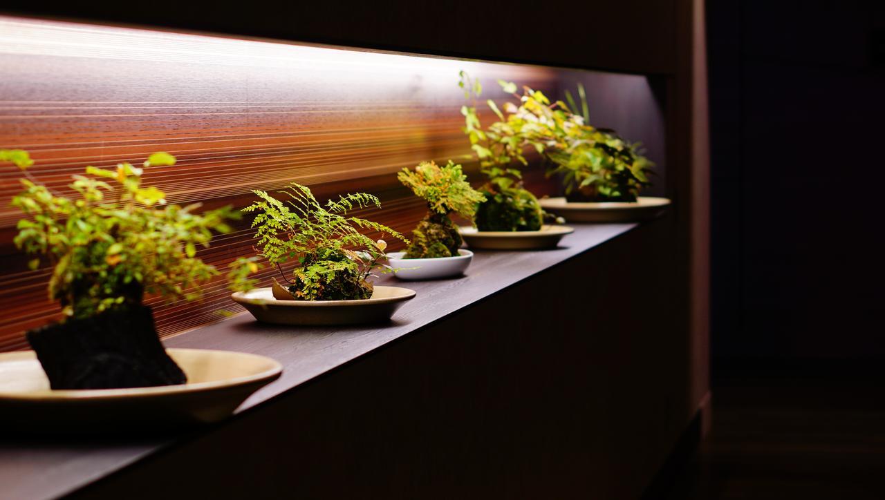 Nanki-Shirahama Marriott Hotel Luaran gambar Plants in a restaurant